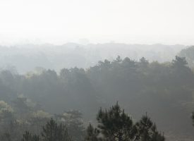 TTTW_Slider3