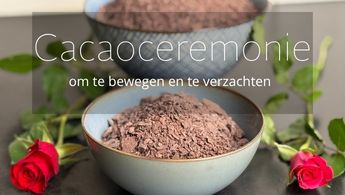 Kaart website (395 x 145 px)_Cacao_def (1) Kaart website (395 x 145 px)_Cacao_def (1)